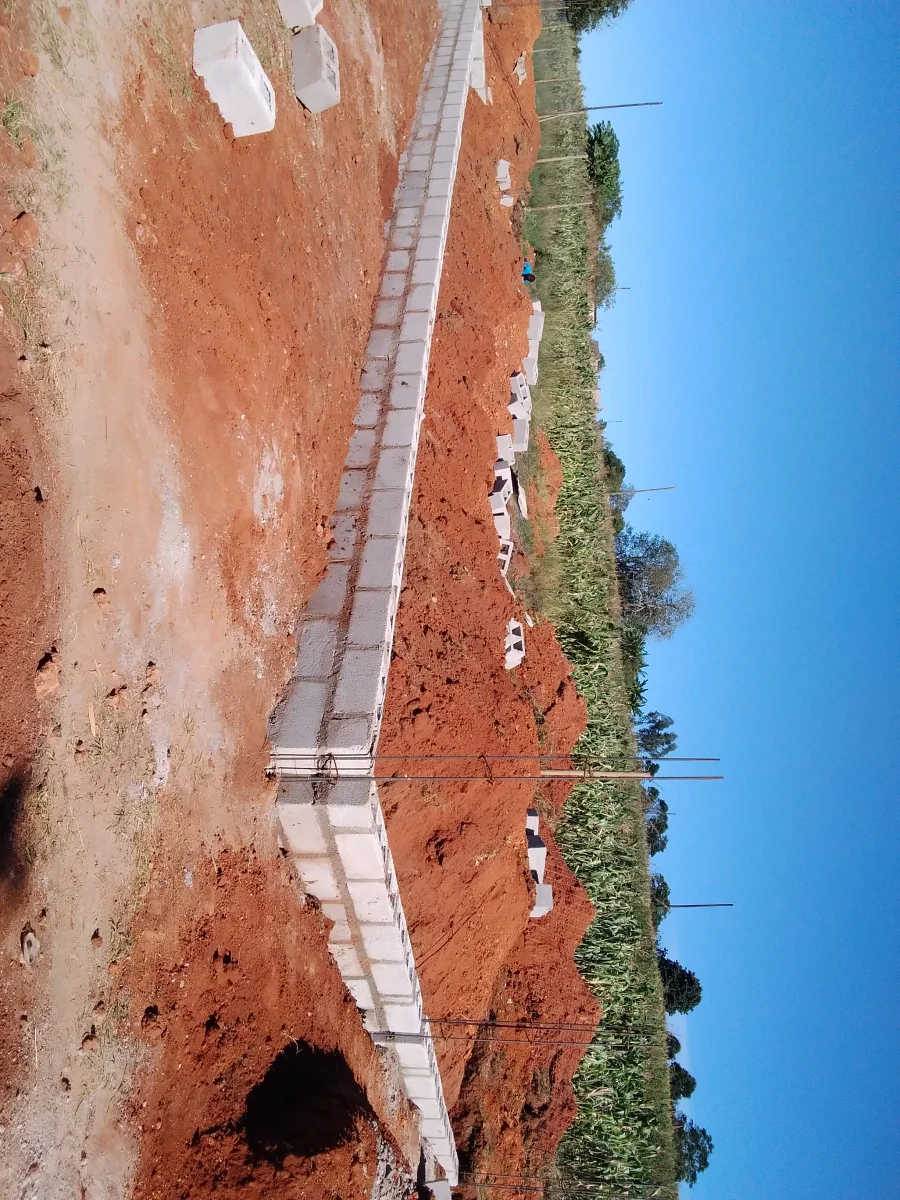 Gallery image 7